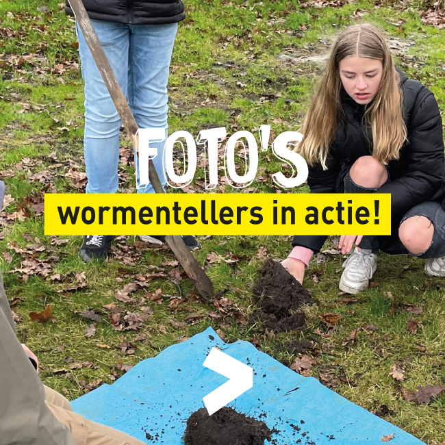 Wormentellers in actie