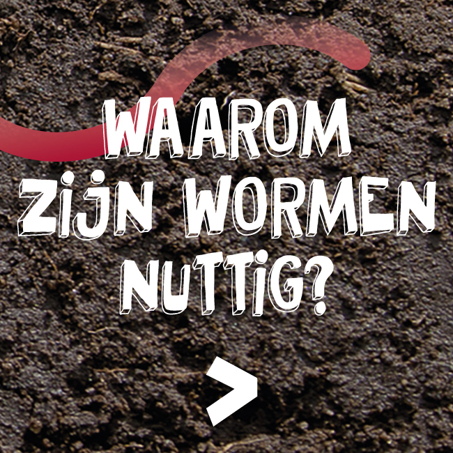 Zijn wormen nuttig?