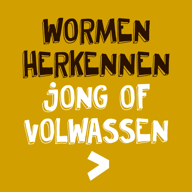 Jong of volwassen?